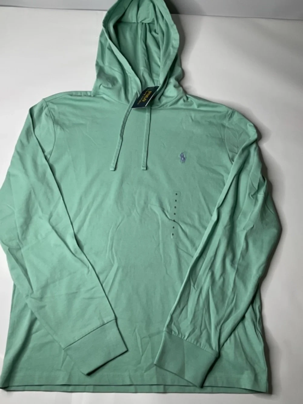 Polo Ralph Lauren Men’s Celadon Green Jersey Hooded T-Shirt(116)